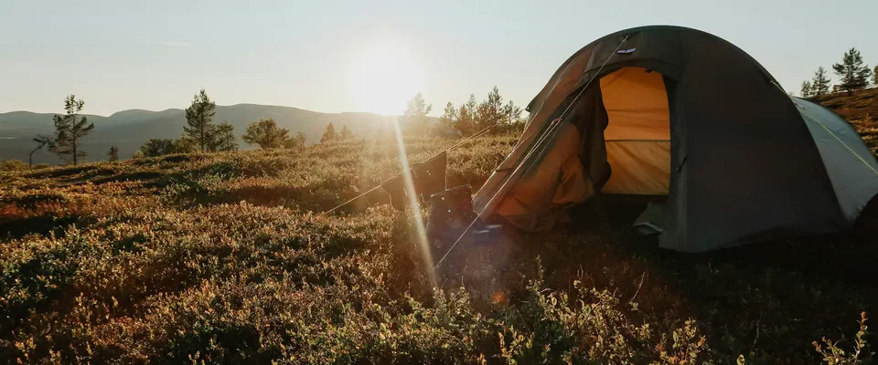 Ett grönt tält på en fjällhed med ris och låga buskar, med solen lågt över fjällen i bakgrunden