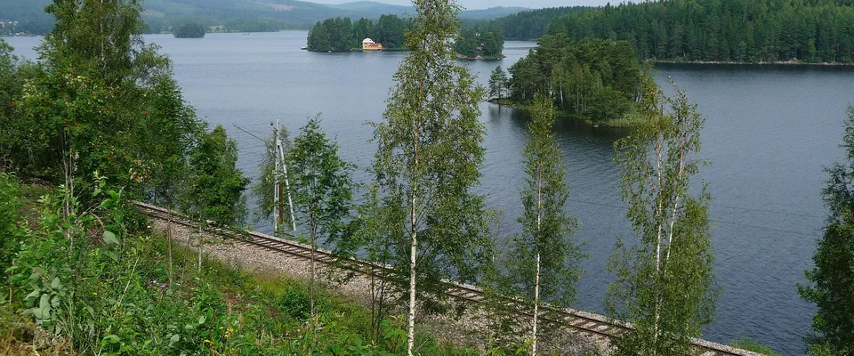 Blank sjö med skogsklädda öar och stränder, sedd genom björkar ovanför en järnväg