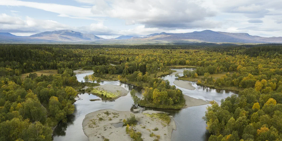 Ån genom Vålådalen sedd från ovan