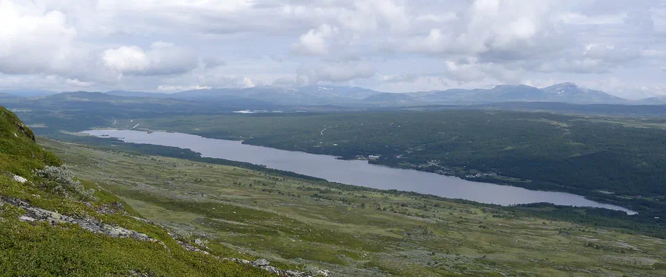 Utsikt från en grön fjällsluttning över en lång sjö i en dal med skog, och blånande fjäll i horisonten under molnig himmel
