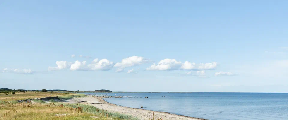 Lång, smal sandstrand med gräsbevuxna dyner som svänger bort längs en lugn blå havsvik under blå himmel