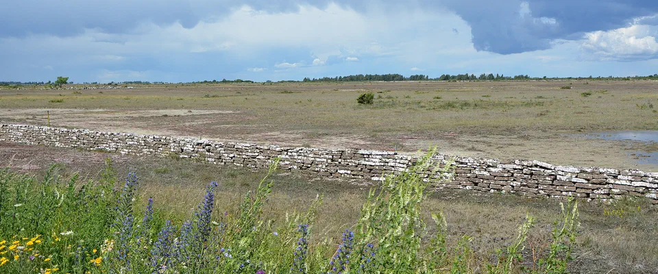 Låg kalkstensmur över ett flackt, nästan trädlöst gräsfält under mörka moln, med blå och gula vildblommor i förgrunden
