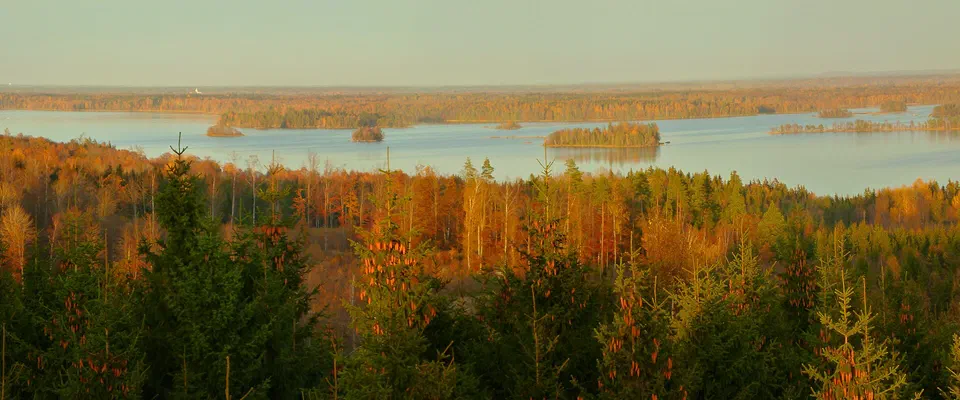 Utsikt över höstfärgad skog ner mot en stor sjö med många små skogklädda öar