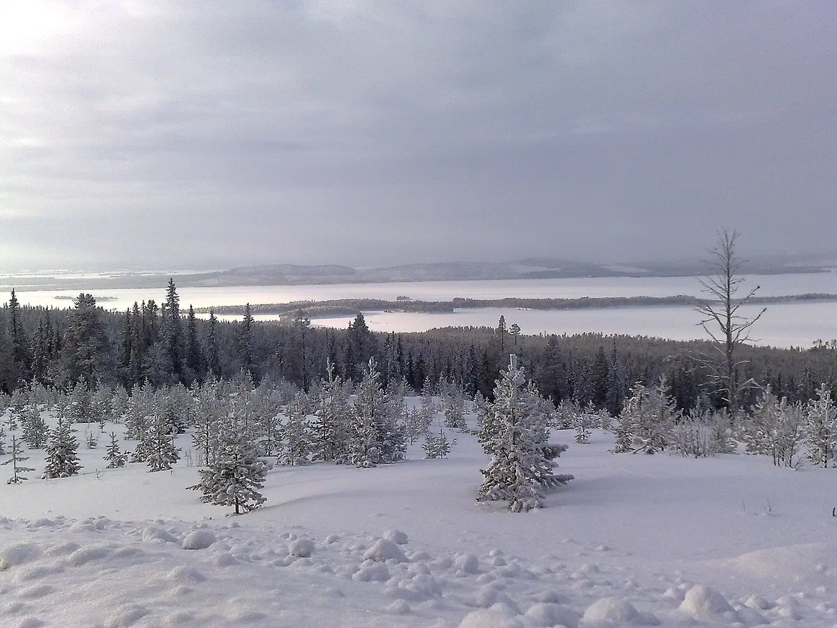 Vintervy från fjället Galtispouda i Arjeplog.