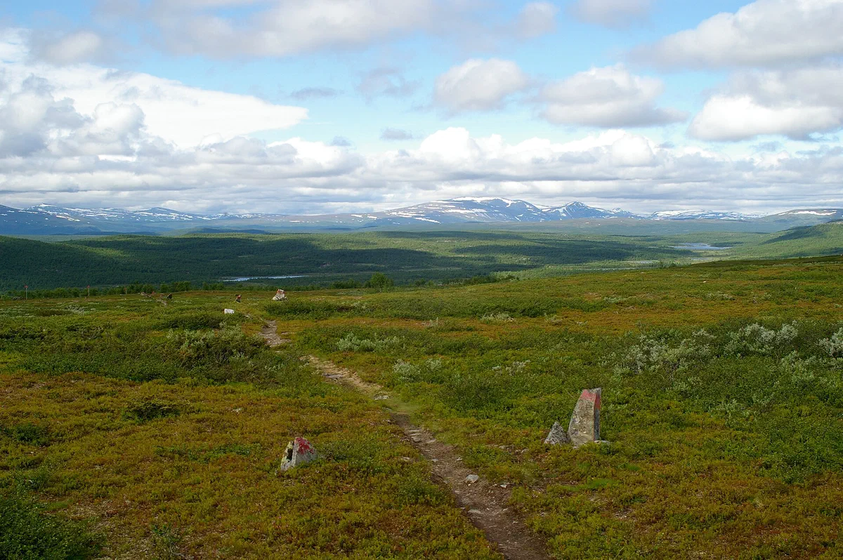 Kungsleden genom Pieljekaise nationalpark ovanför Jäkkvik.