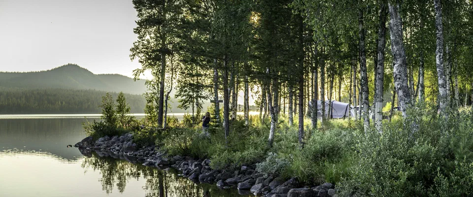 Stilla sjö med björkar och tallar längs en stenig strand i motljus, med ett skogklätt berg på andra sidan