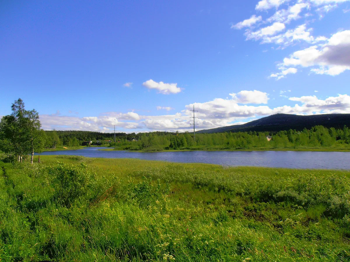 Vassaraälven en sommardag