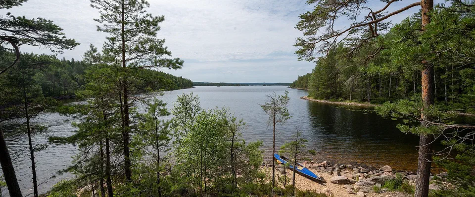 Utsikt mellan tallar ner mot en lång skogssjö, med en kanot uppdragen på en liten sandstrand