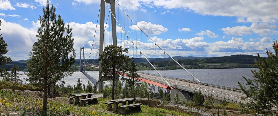 Hängbro med höga pyloner över en bred älv, sedd från en rastplats med picknickbord bland tallar