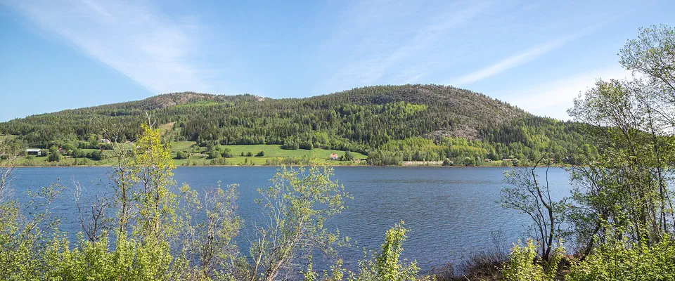 Blank sjö med björkar i förgrunden och ett skogsklätt berg under blå himmel