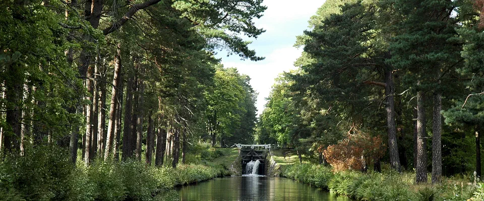 Rak kanal mellan höga tallar och lövträd som speglar sig i det stilla vattnet, med en sluss längst bort