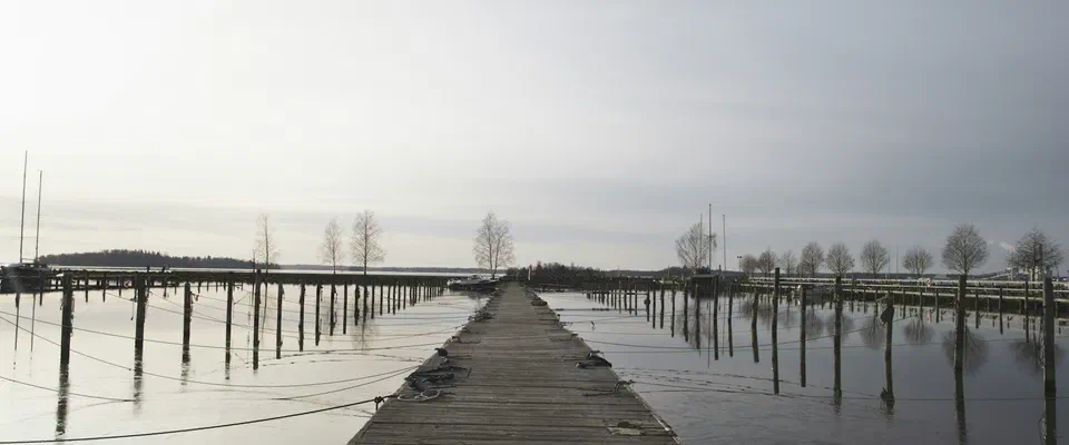 En lång träbrygga med förtöjningsstolpar ut i blankt vatten under en ljusgrå himmel, med kala träd på en udde i fjärran